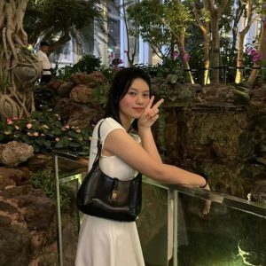 2025 High-End Retro Crescent Bag - Versatile Handheld & Shoulder Tote for Women, Chic Underarm Design