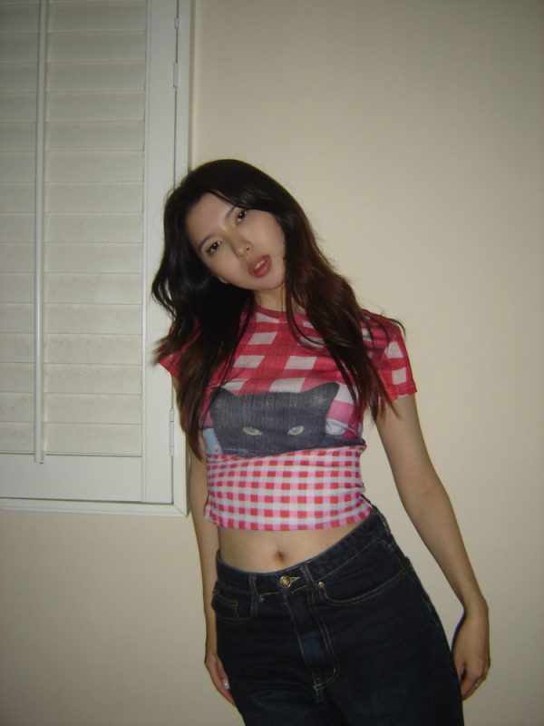 Plaid Cat Vintage Print Short Sleeve T-Shirt for Women - 2025 Summer American Hot Girl Style, Trendy Y2K Fashion