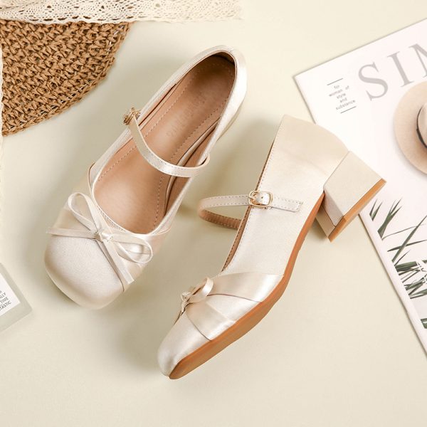 Sheepskin Mary Jane Women's Shoes, Chunky Heel High Heels for Skirts, French Style Spring Autumn Fashion