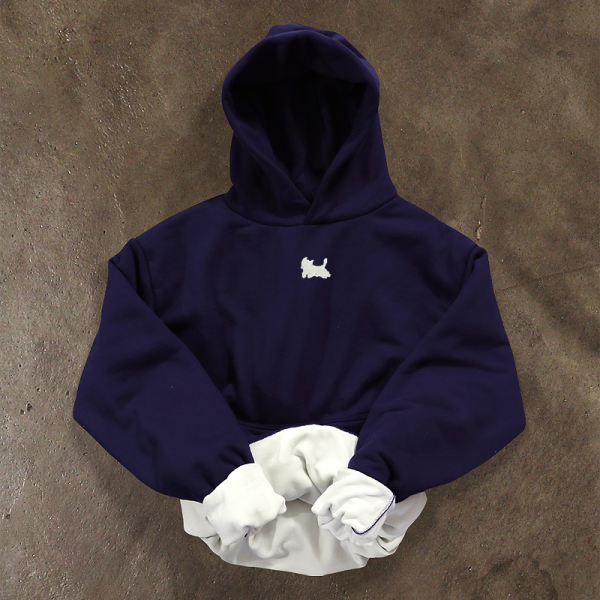 Warm Silver Fox Fleece Long Sleeve Hooded Sweatshirt for Women - Thick American Style, Cozy and Stylish Fall Essential