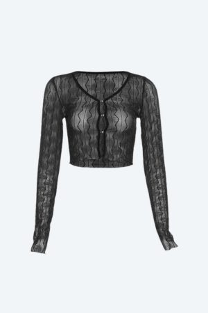 Sheer Crop Top